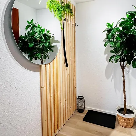 Cozy Studi -