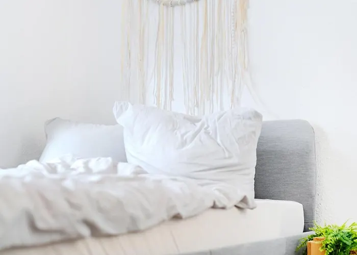 Appartement Cozy Studi - *