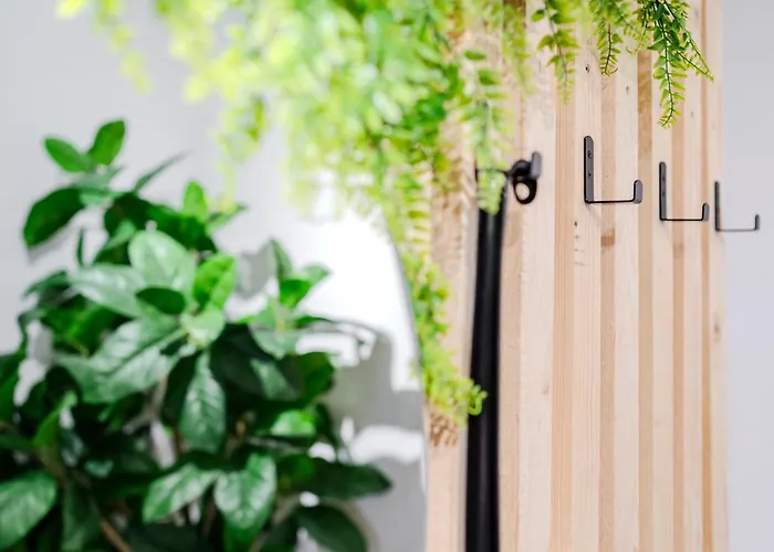 Appartement Cozy Studi - Kaiserslautern